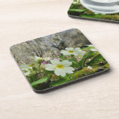 春 コースター (左側)