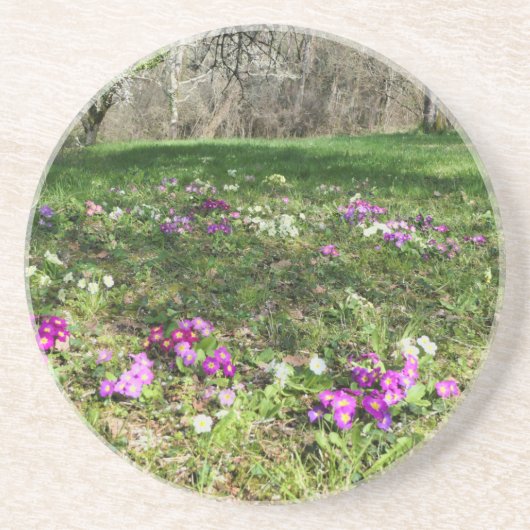 春 コースター (正面)