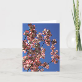 春 サンキューカード