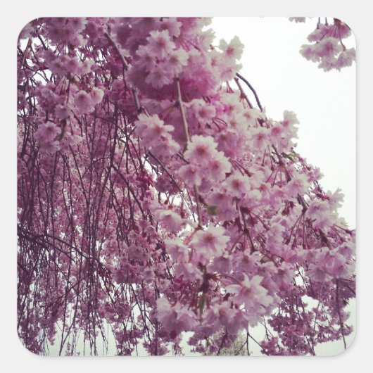 春 スクエアシール (正面)