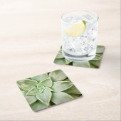 春 スクエアペーパーコースター (インサイチュ)