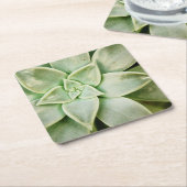春 スクエアペーパーコースター (アングル)