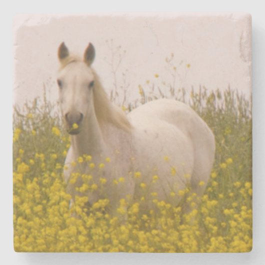 春 ストーンコースター (正面)