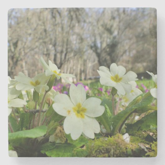 春 ストーンコースター (正面)