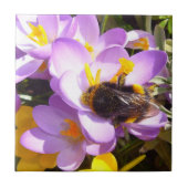 春~セラミックタイルの味 タイル (正面)