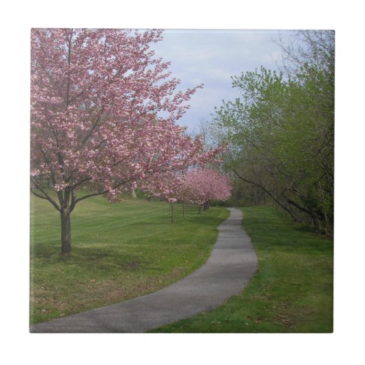 春！セラミックタイル タイル (正面)