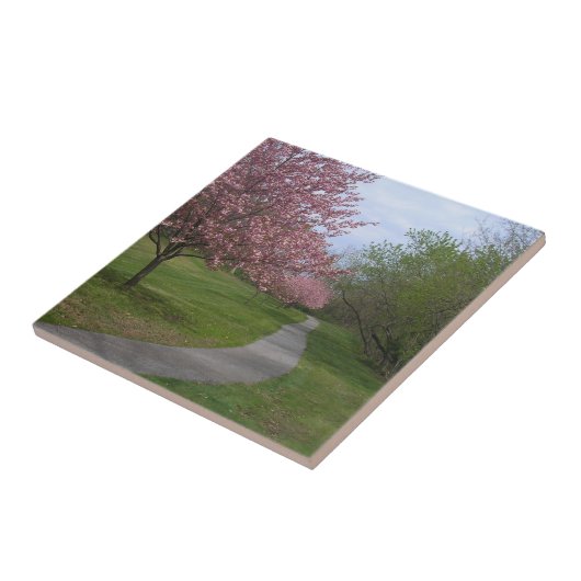 春！セラミックタイル タイル (側面)