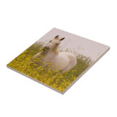 春 タイル (側面)