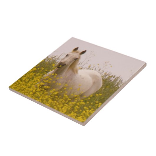 春 タイル (側面)