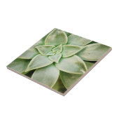 春 タイル (側面)