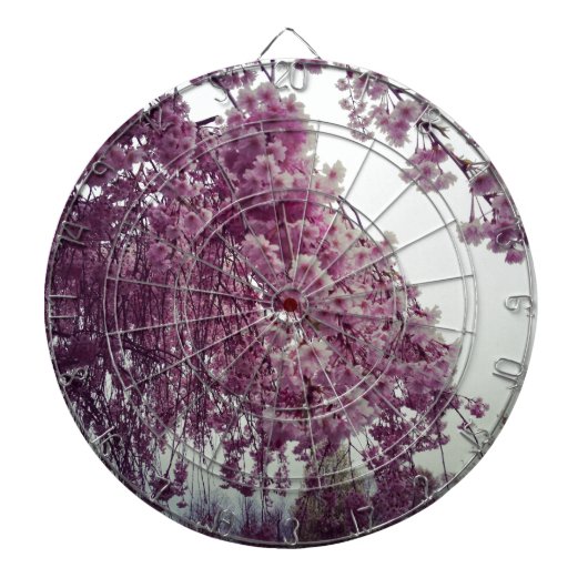 春 ダーツボード (正面)