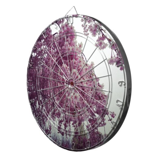 春 ダーツボード (正面右)