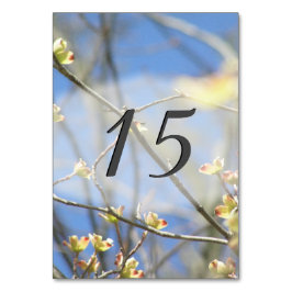 春 テーブルナンバー