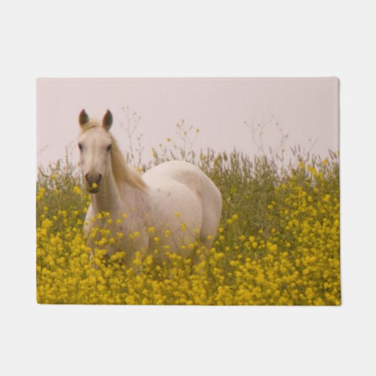 春 ドアマット (正面)