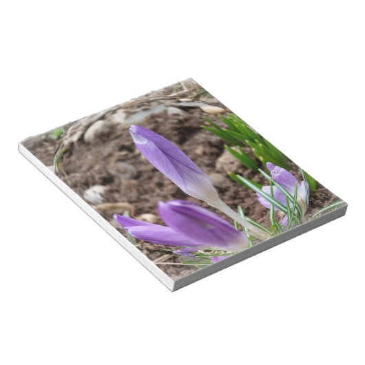 春 ノートパッド (アングル)