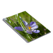 春 ノートブック (右側)