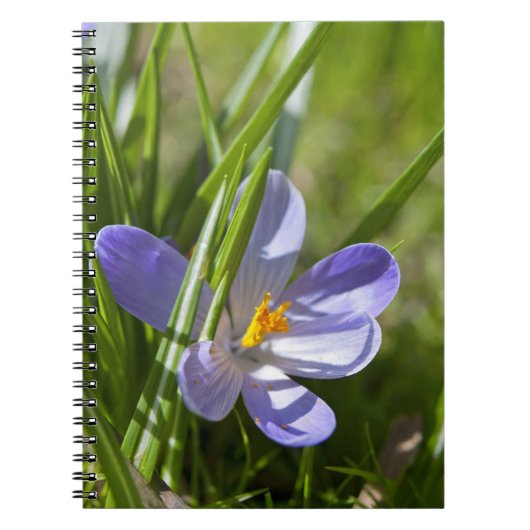 春 ノートブック (正面)