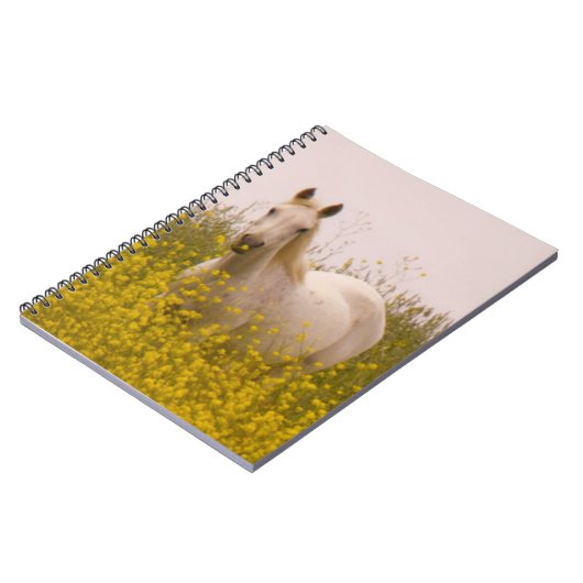 春 ノートブック (左側)