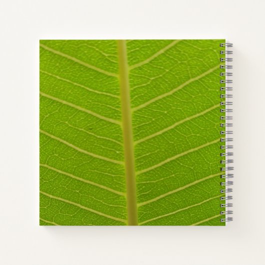 春 ノートブック (裏面)