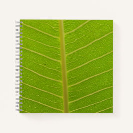 春 ノートブック