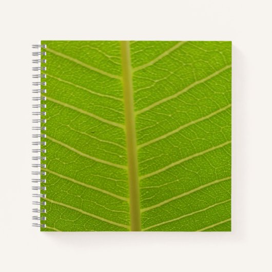 春 ノートブック (正面)