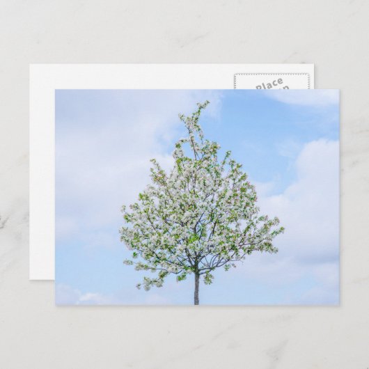 春-ハッピーイースター シーズンポストカード (正面/裏面)