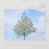 春-ハッピーイースター シーズンポストカード (正面)