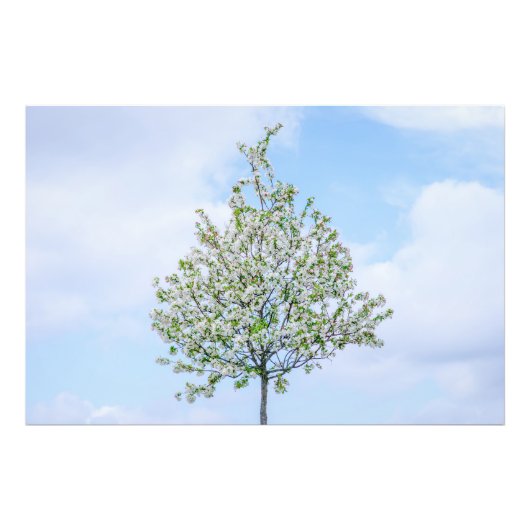 春-ハッピーイースター フォトプリント            (正面)