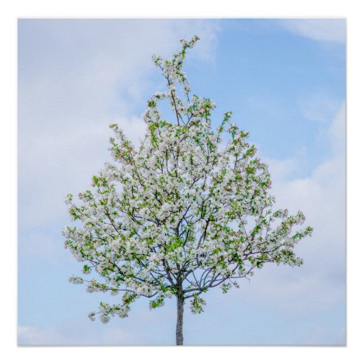 春-ハッピーイースター ポスター (正面)