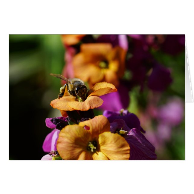 春・ビー・ギンズ！ (正面横)