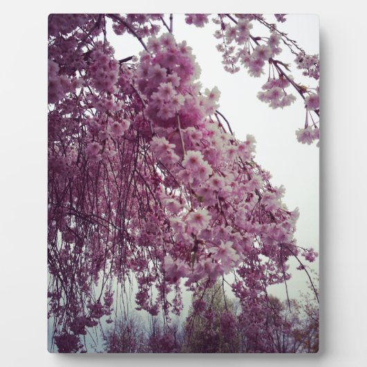 春 フォトプラーク (正面)