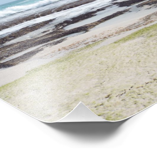 春 フォトプリント            (角)