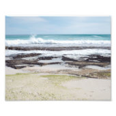 春 フォトプリント            (正面)