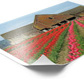 春。 フォトプリント            (角)