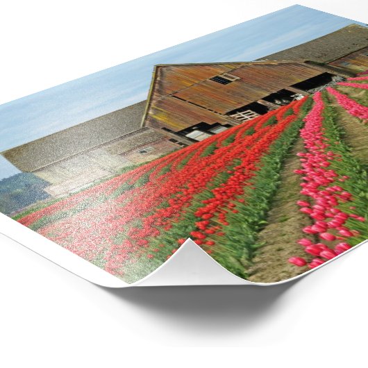 春。 フォトプリント            (角)