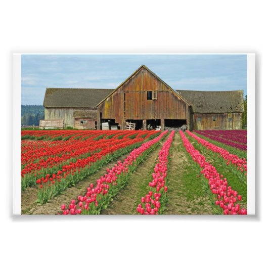 春。 フォトプリント            (正面)