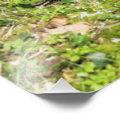 春 フォトプリント            (角)