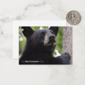 春 – ブラックベア ノートカード (正面/裏面インサイチュ)