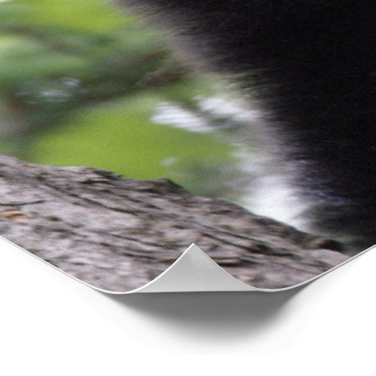 春 – ブラックベア ポスター (角)