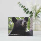 春 – ブラックベア ポストカード (スタンド正面)