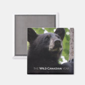 春 – ブラックベア マグネット (正面/裏面)