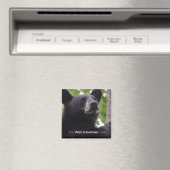 春 – ブラックベア マグネット (インサイチュ (食洗機))