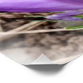 春 ポスター (コーナー)