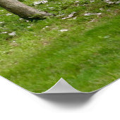 春 ポスター (角)