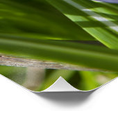 春 ポスター (コーナー)