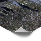 春 ポスター (角)