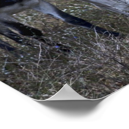 春 ポスター (角)