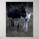 春 ポスター (正面)