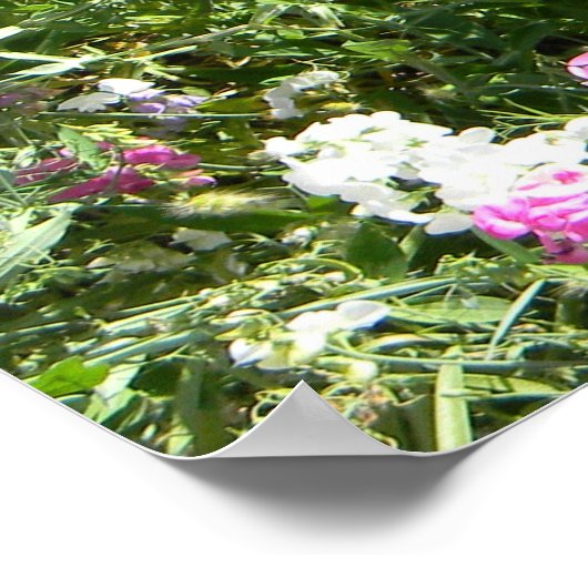 春... ポスター (角)