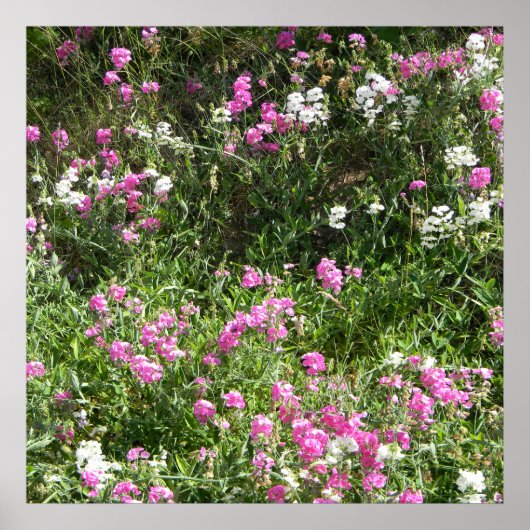 春... ポスター (正面)